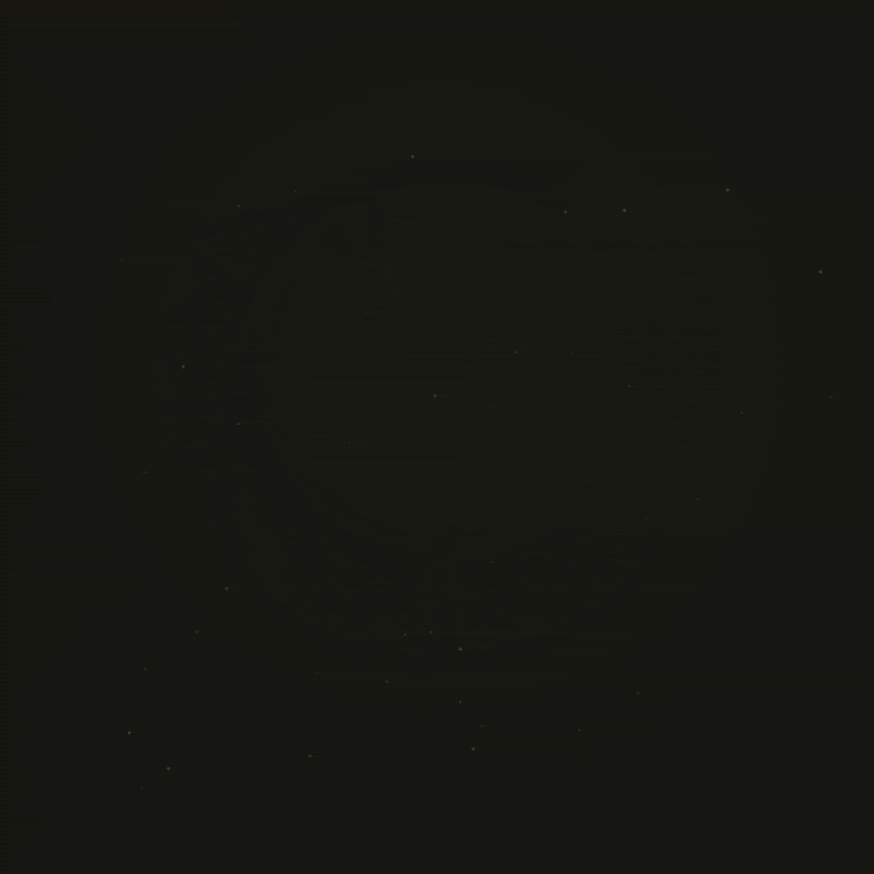 EverSignal animated gold infinity brand emblem
